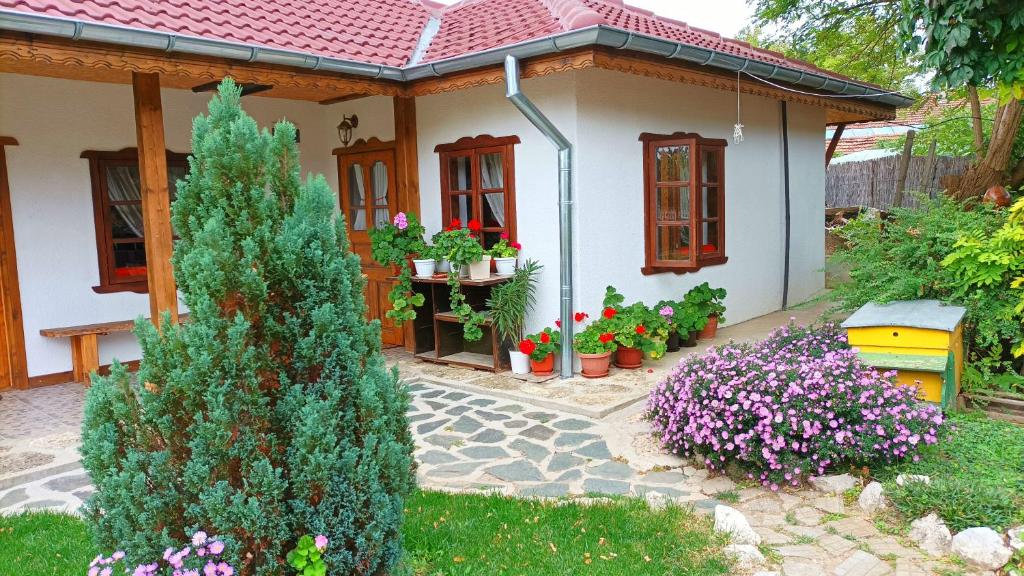 Zahrada ubytování Babinata Kashta-Srebarna