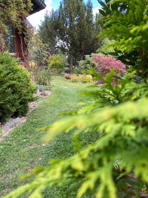 Exklusives 5* Haus, Freistehend, 6 Pers, Wald Ruhe in Wienrode