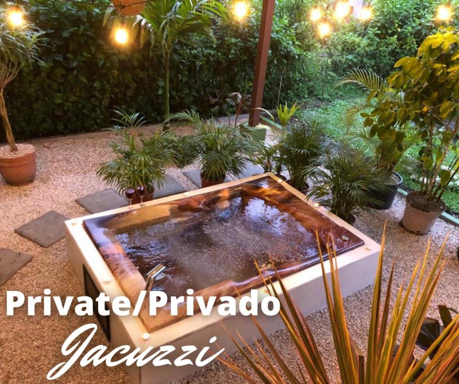 ein Whirlpool in einem Garten mit Pflanzen in der Unterkunft Arenal Thiago with Private Jacuzzi in Fortuna