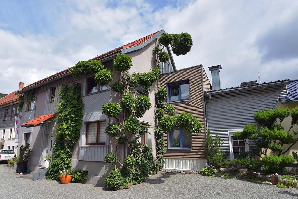 a house with plants growing on the side of it at Apartment Sunrise, Steinbach-Hallenberg in Kurort Steinbach-Hallenberg