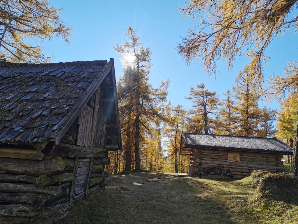 a log cabin and a shed in the woods at Haus Staud in Schmirn