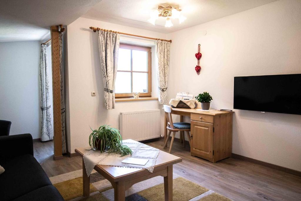 TV a/nebo společenská místnost v ubytování Haus Staud