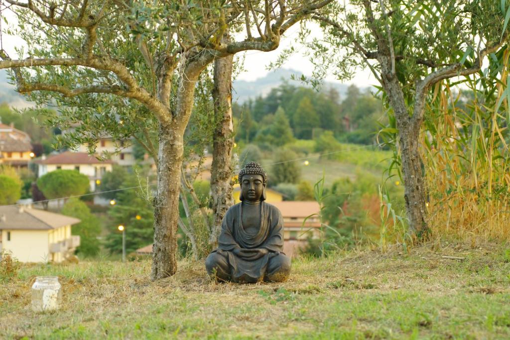 A garden outside BeB montefratta