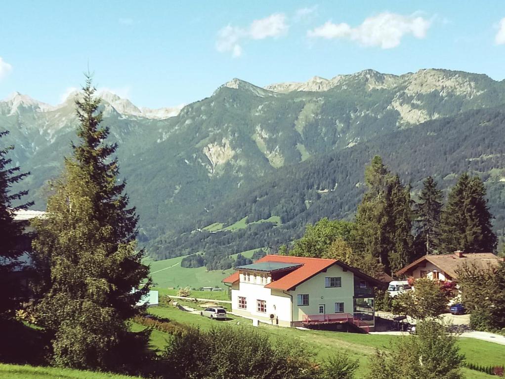 Příroda nedaleko apartmánu