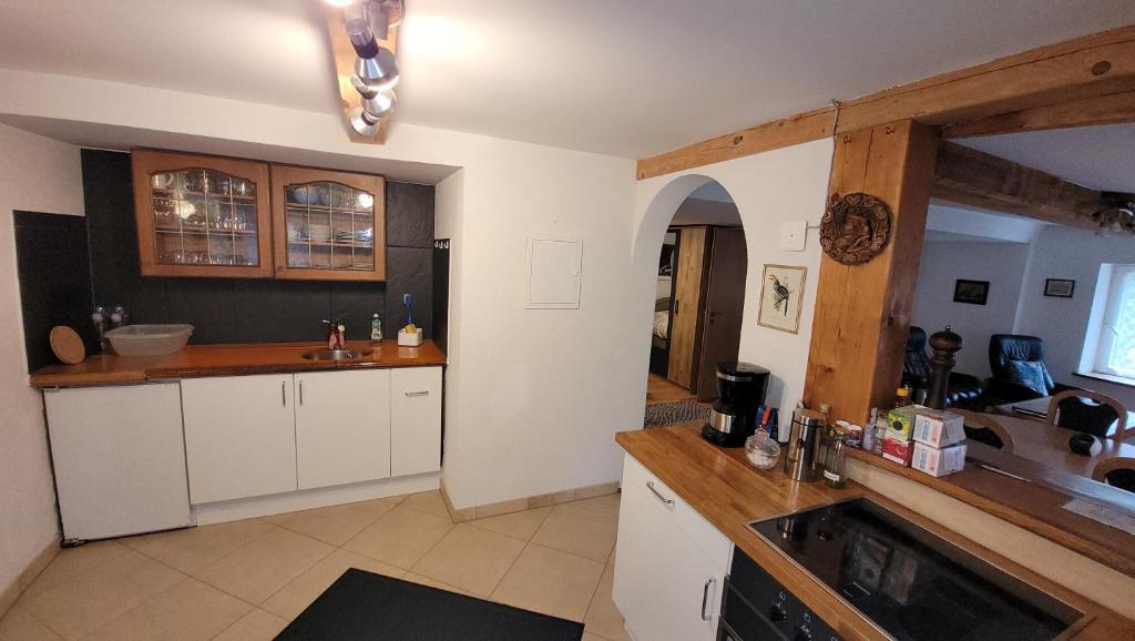 Kuchyň nebo kuchyňský kout v ubytování aschis Lodge 2