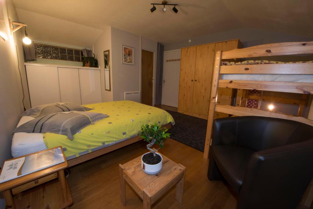 a bedroom with a bunk bed and a couch at Le Cocon du Village Gérardmer in Gérardmer