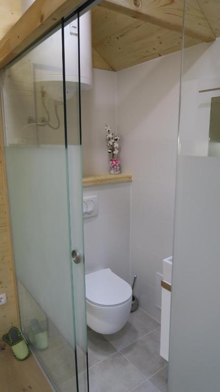 Vannituba majutusasutuses Apartma, glamping Na koncu vasi