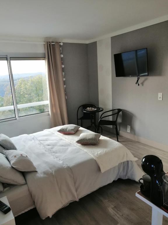 Postel nebo postele na pokoji v ubytování LAPAUSEDEGOUT piscine chambres climatisées jacuzzi terrasse