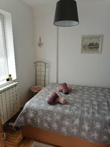 Postel nebo postele na pokoji v ubytování ANKA apartman