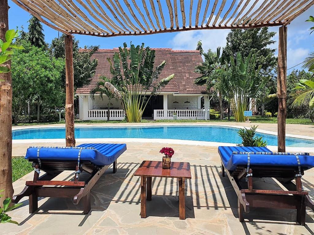 a swimming pool with two blue chairs and a table at The Swimming Ostrich in Ukunda