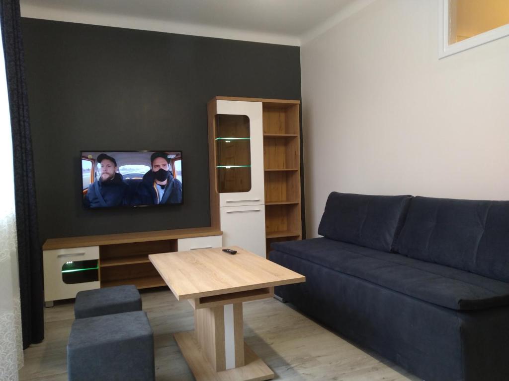 a living room with a blue couch and a tv at Living Room Economic in Tarnów
