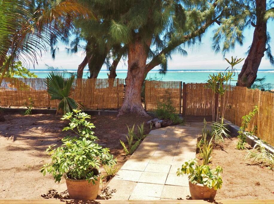 a garden with trees and a fence and the ocean at Villa Sunset in La Saline les Bains