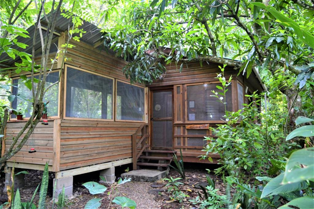 eine Holzhütte im Wald mit Bäumen in der Unterkunft Iguana Roost Tourism Gold Standard Fully Equipped two Bedroom Cabin in San Ignacio