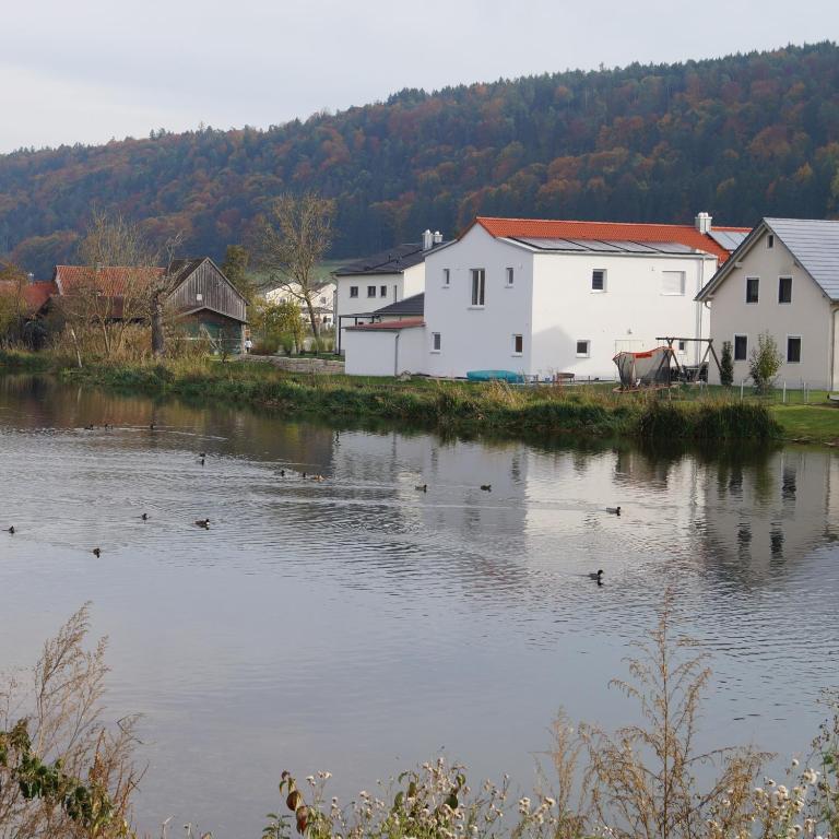 a group of ducks swimming in a river at Ferienwohnung flussendlich in Beilngries