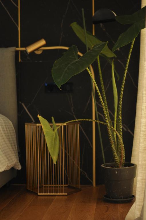 Athinaion Recreation Suites - Resim 25