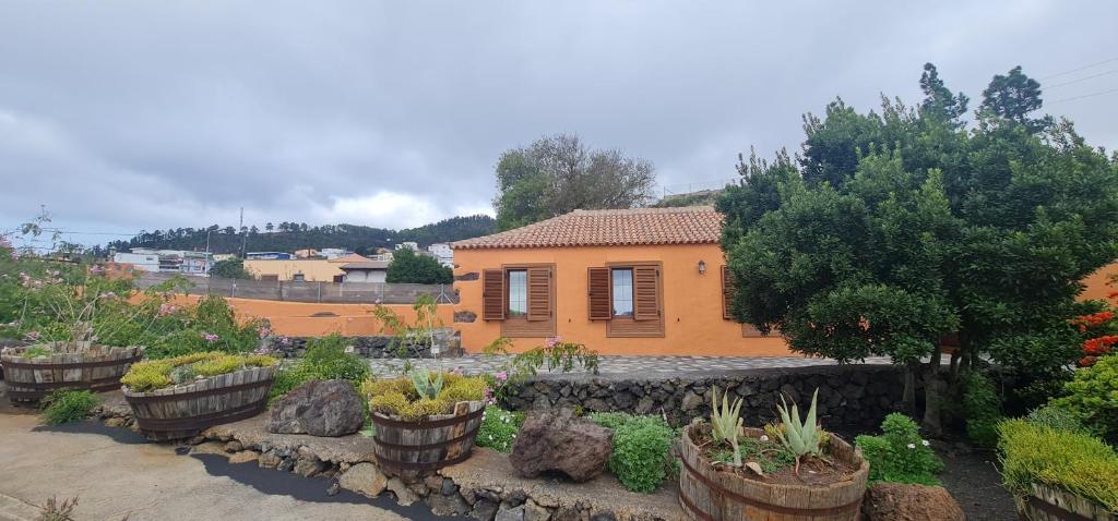 a garden with potted plants in front of a house at La Bodega in Fuencaliente de la Palma