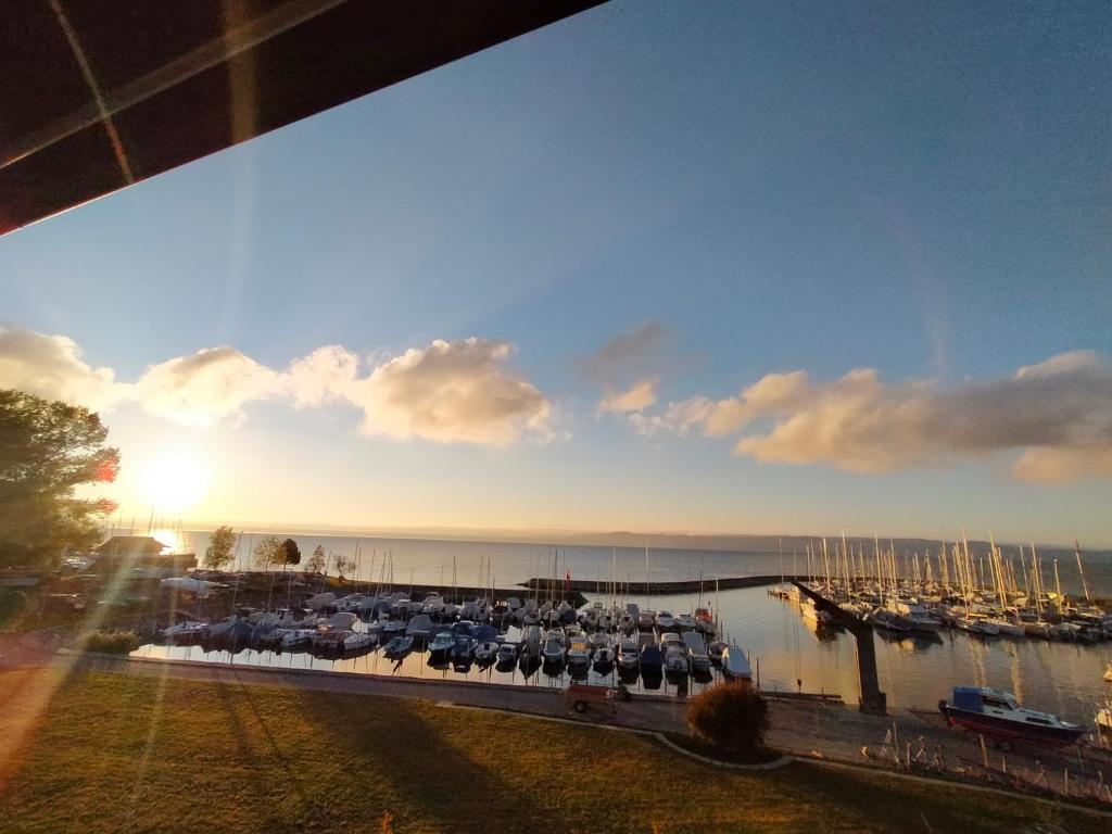 Příroda nedaleko hotelu