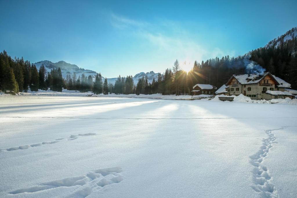 
a snowy landscape with trees and snow covered ground at Rifugio Lago Nambino in Madonna di Campiglio
