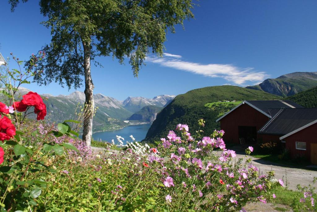 a view of a lake and mountains with flowers at Hesthaug Gard in Eidsdal