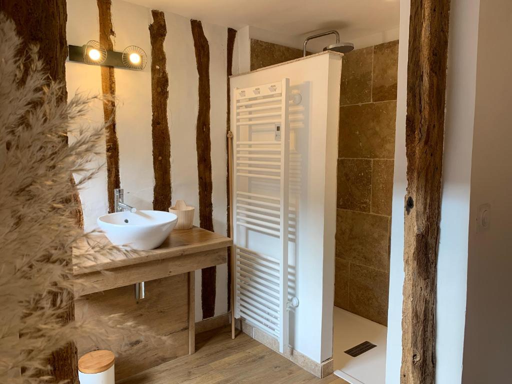 een badkamer met een wastafel en een douche bij L'Ecole des Demoiselles in Honfleur