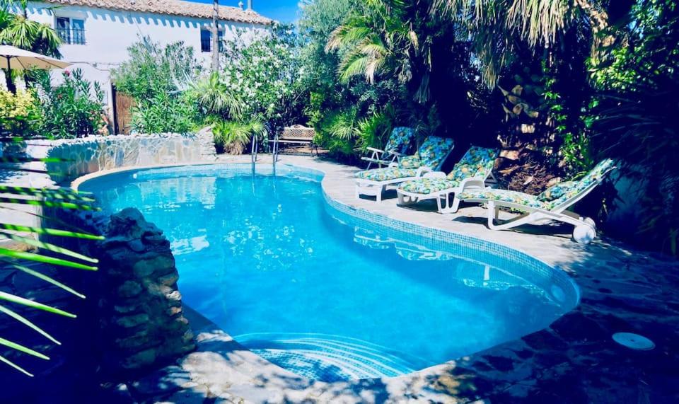 une piscine avec des chaises longues et une piscine dans l'établissement Cortijo Paraiso, à Cúllar de Baza