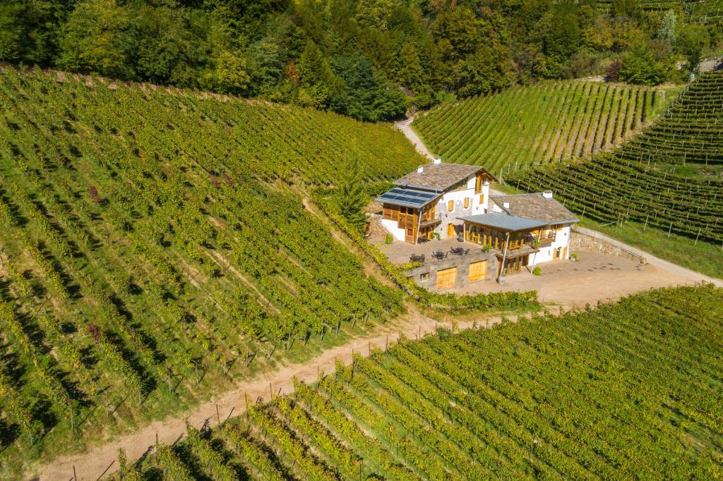 une vue aérienne sur une maison au milieu d'un vignoble dans l'établissement Agriturismo Maso Besleri, à Cembra