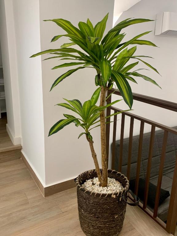 PUERTA DE CACERES Apartamento 2 - 12