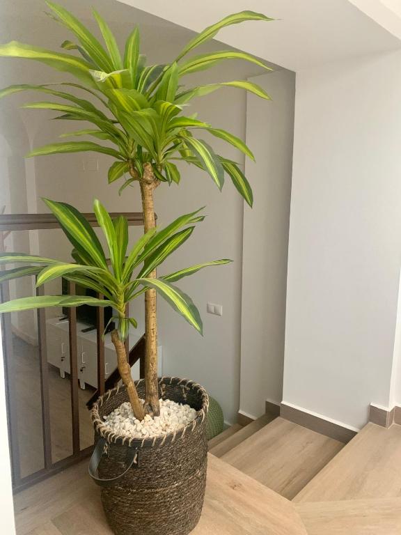 PUERTA DE CACERES Apartamento 2 - 9