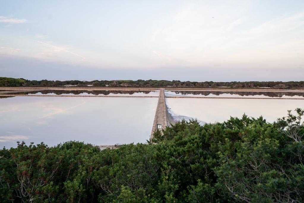 Cas Saliners - Ses Illetes, La Savina – Updated 2023 Prices