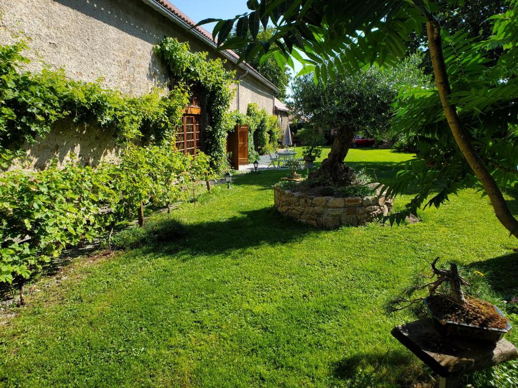un jardín con un árbol y un edificio en Domaine des Maillets, en Blot-lʼÉglise