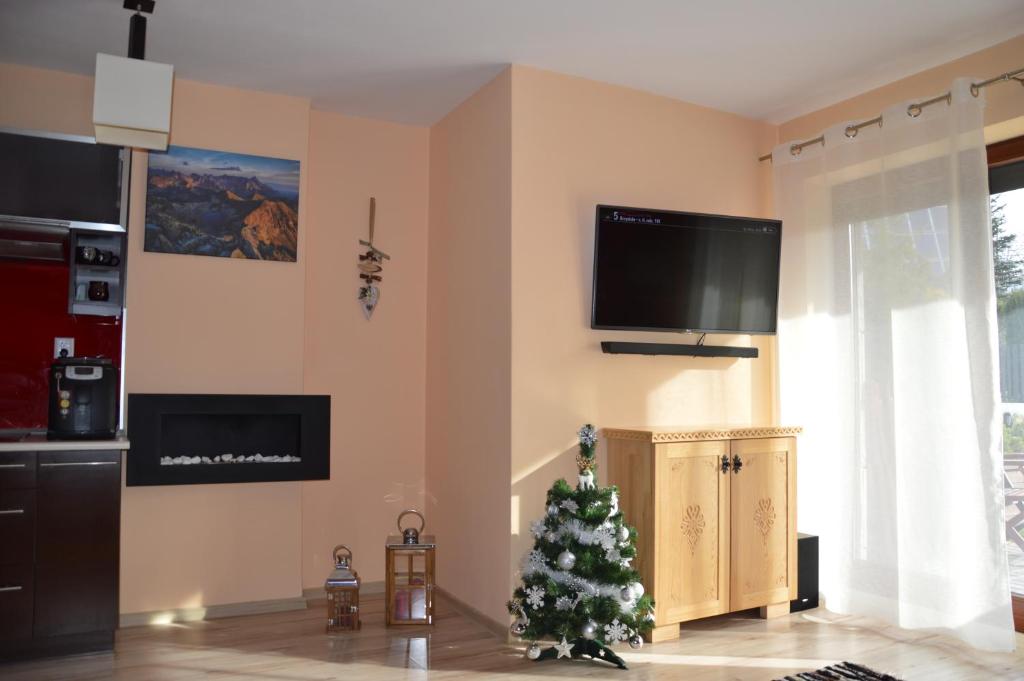 Televízia a/alebo spoločenská miestnosť v ubytovaní Nostalgiczne Kościelisko Apartament & SPA