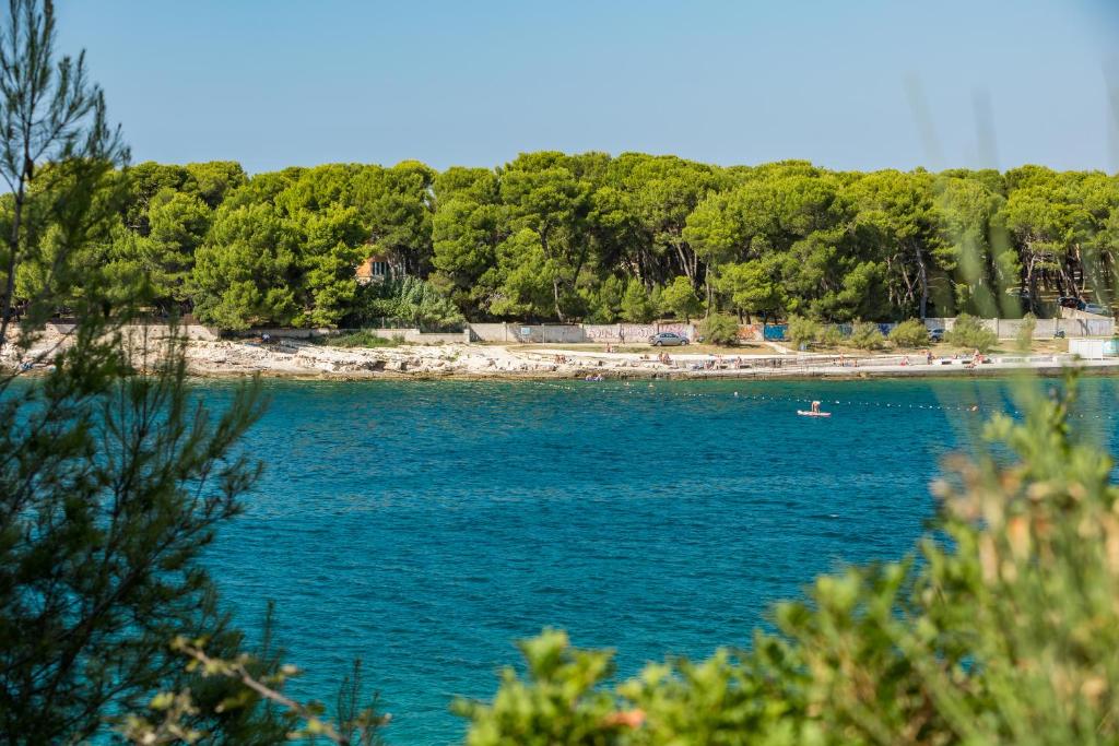 Príroda v okolí apartmánu