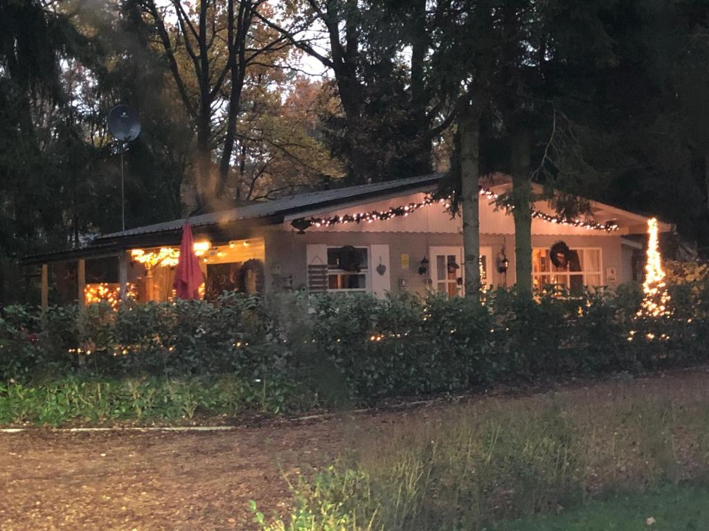Zahrada ubytování Chalet Luxe