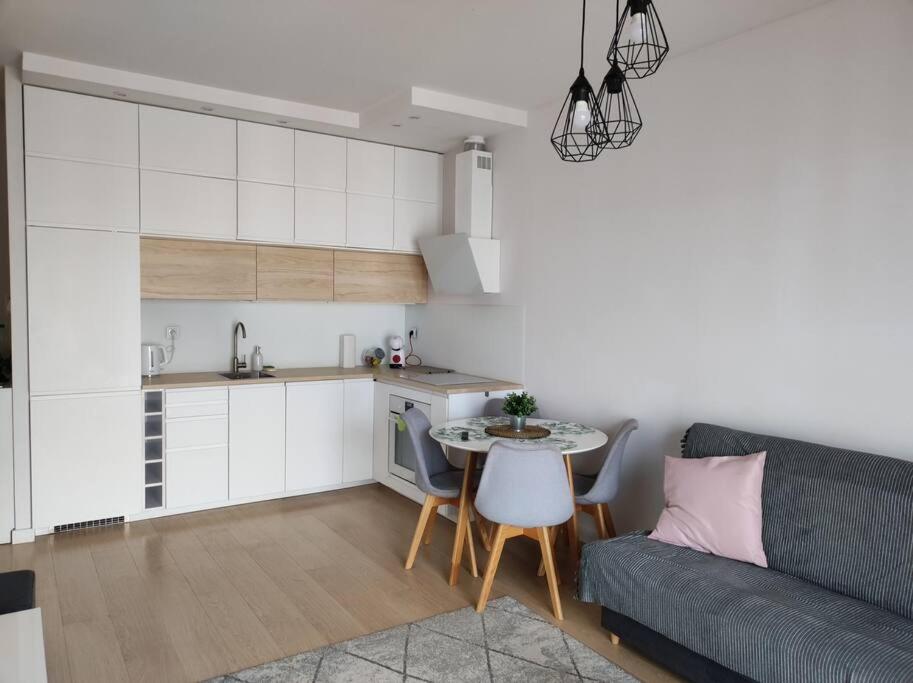 Kuchyňa alebo kuchynka v ubytovaní Lovely Apartment vis-a-vis Medicover and Paley Institute