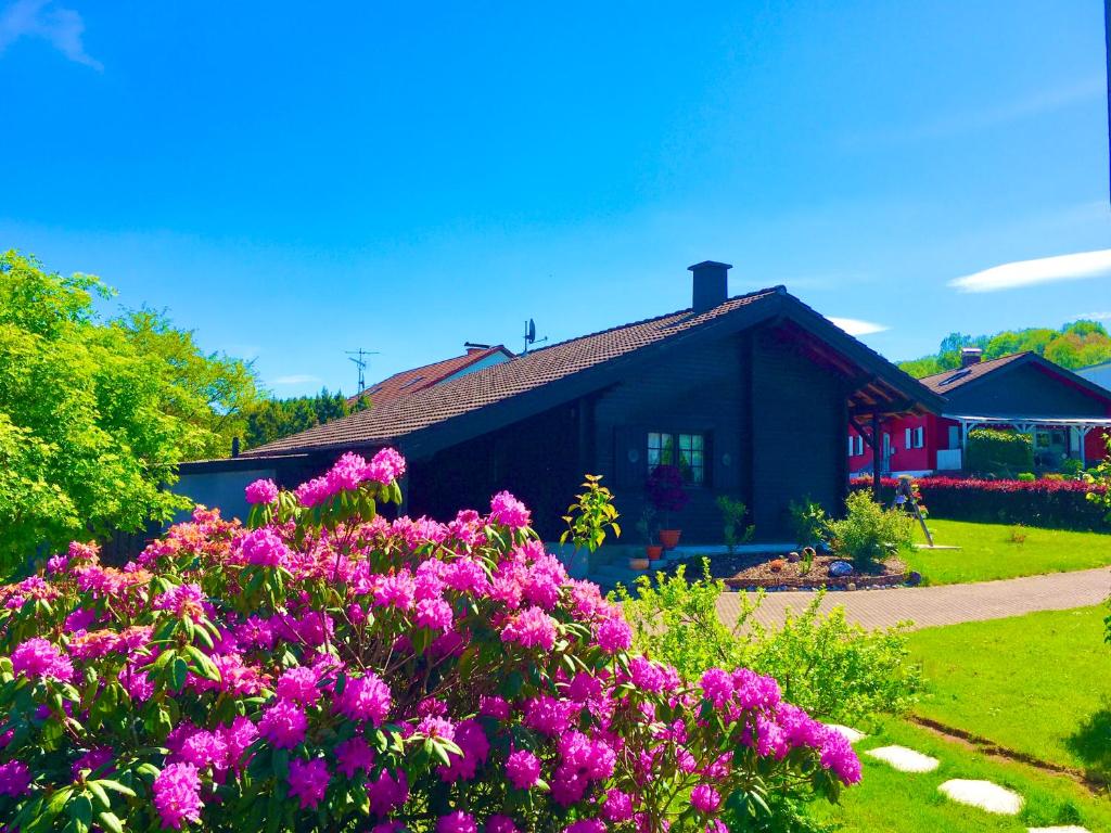 uma casa com flores cor-de-rosa em frente em Ferienhaus Bergglück em Nonnweiler