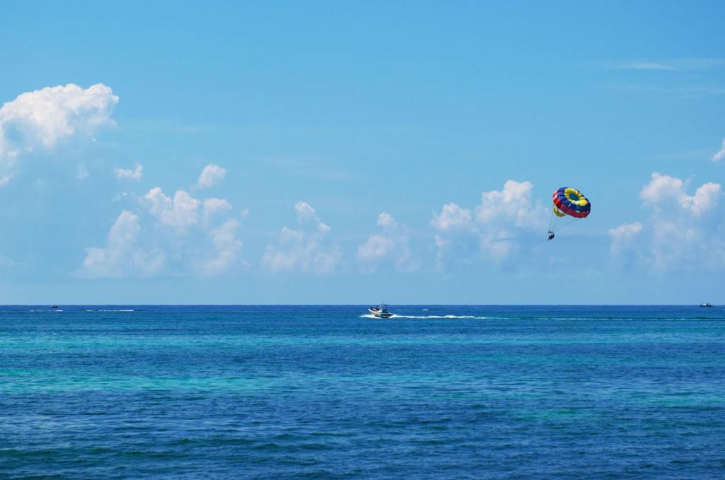 a kite flying in the sky over the ocean at Aqua Vista in San Pedro
