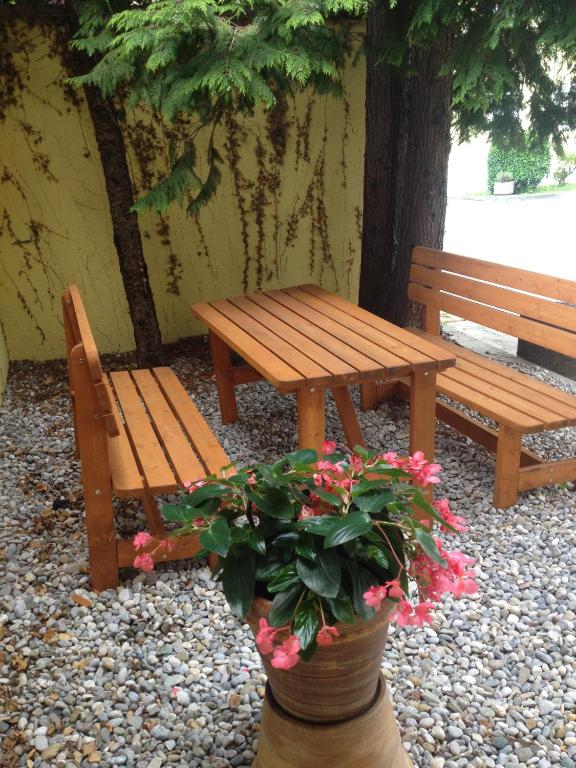 Zahrada ubytování Hotel Carmen