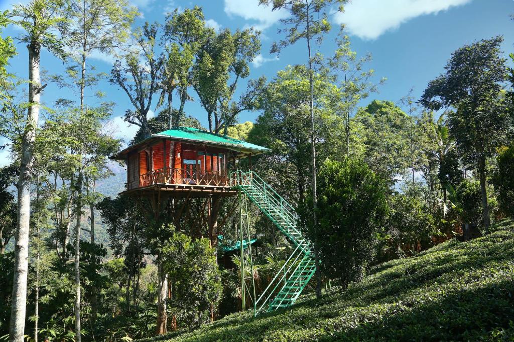 una casa en el árbol en medio de una colina en Dream Catcher Plantation Resort en Munnar