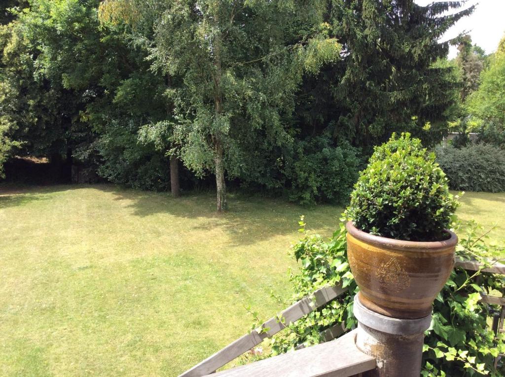 Zahrada ubytování B&B Uccle