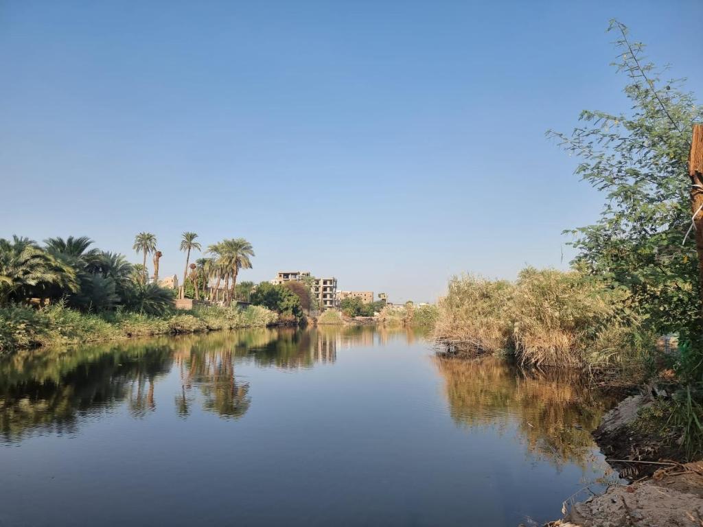 Luxor Old Nile Hotel - 1