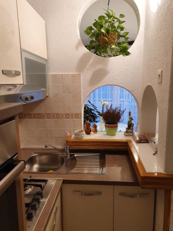 Kuchyň nebo kuchyňský kout v ubytování Apartman Noa