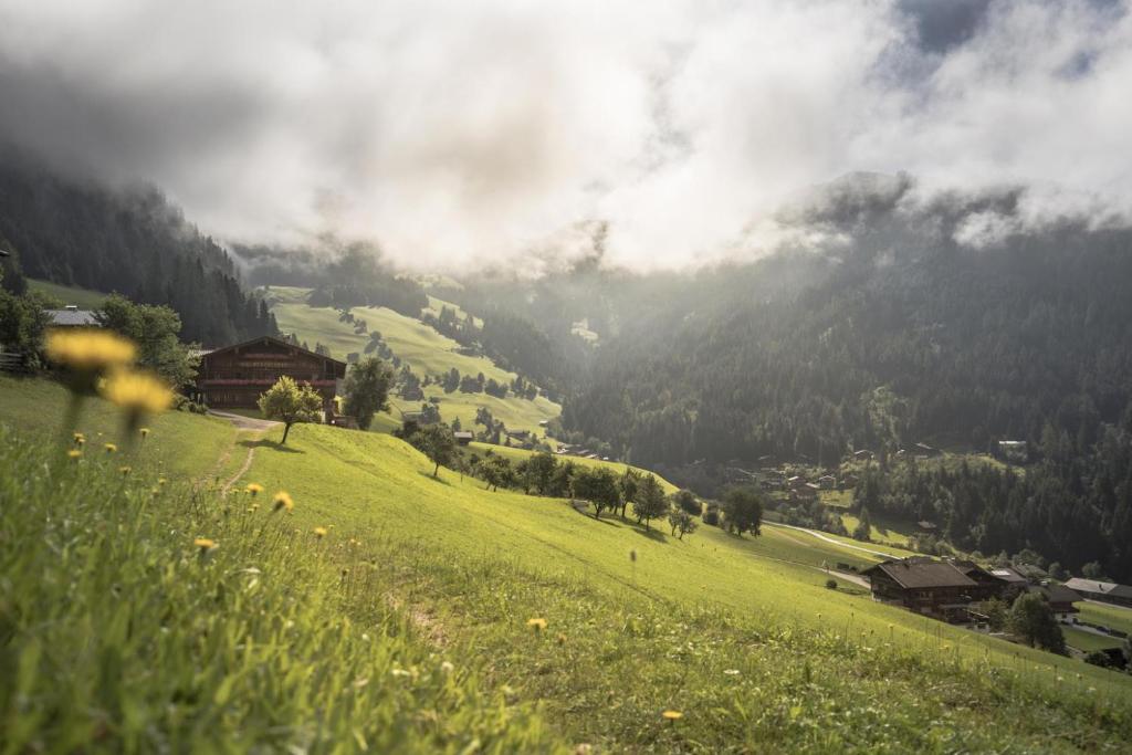 une colline herbeuse avec vue sur une vallée dans l'établissement Ferienwohnung Alpbachtal, à Radfeld