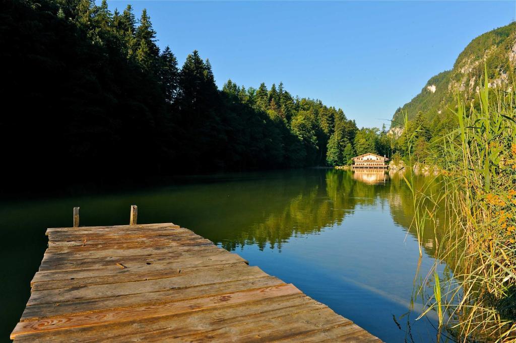 Príroda v okolí apartmánu