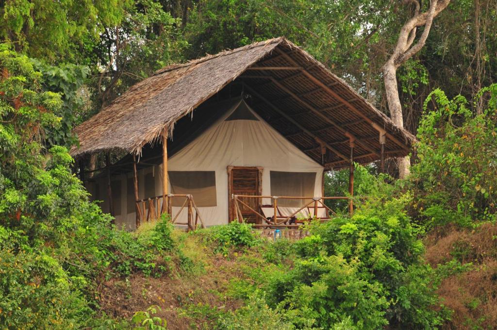 Selous Game Reserve的住宿－Selous Kulinda Camp，相簿中的一張相片