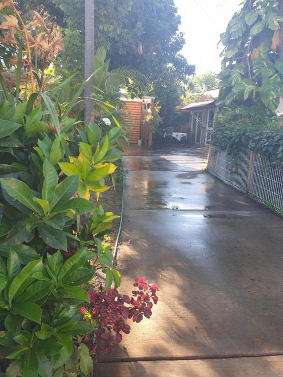 a wet driveway with plants and a fence at Couleurs des îles in Le Tampon