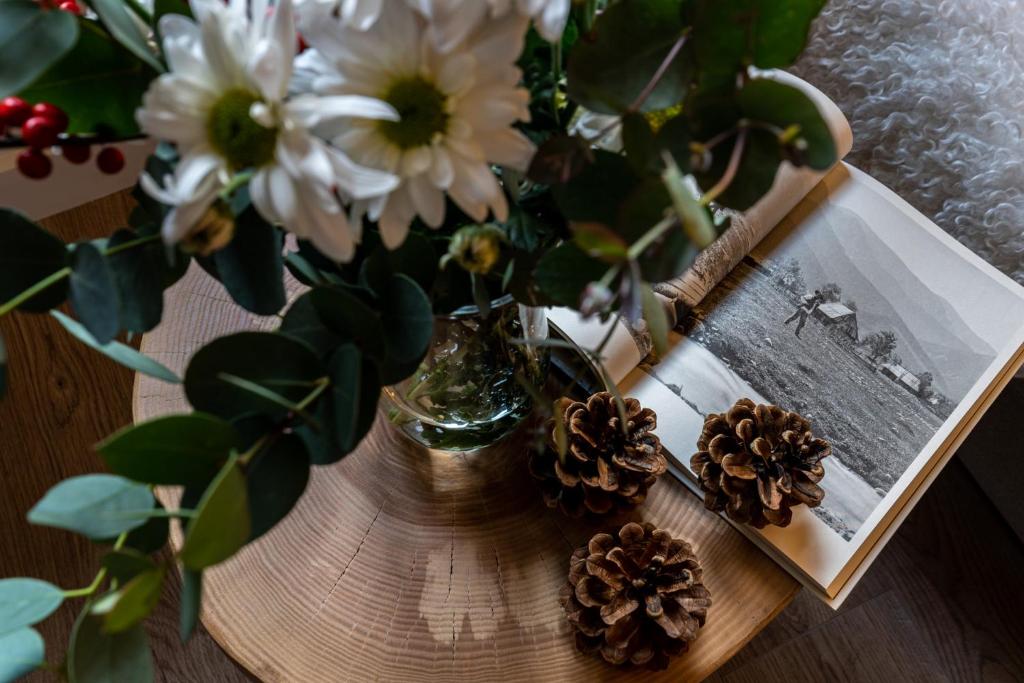 Villa 7 Apartments - 14