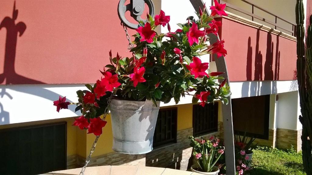 Ogród w obiekcie Hotel Ginevra
