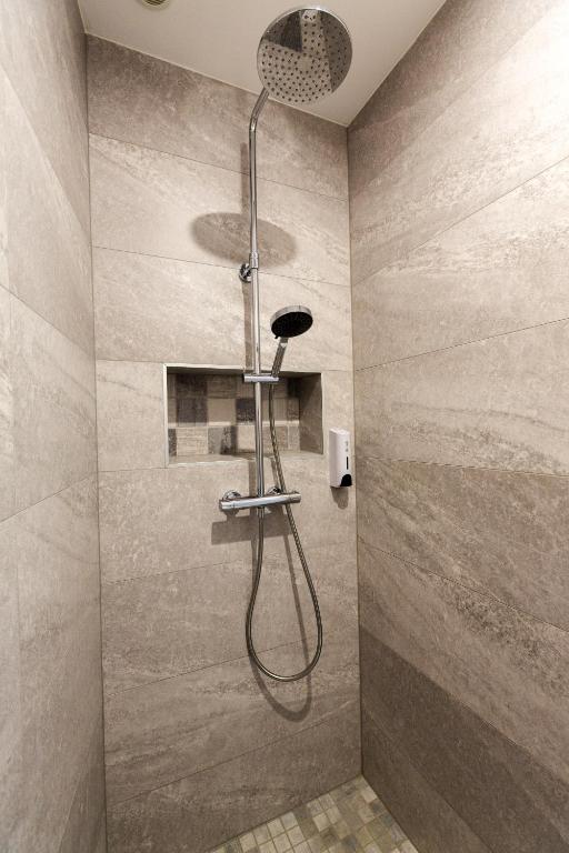 a shower with a shower head in a bathroom at Sollaris Appartement 1ère étage à 11km de Europa-Park in Friesenheim