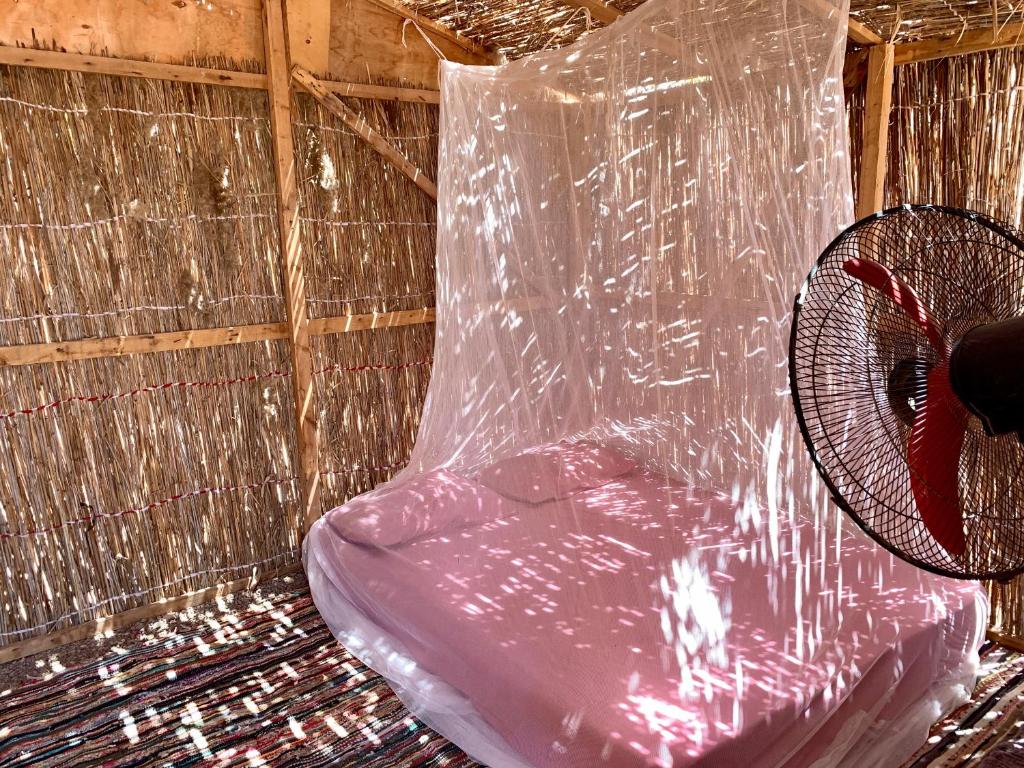 Fotografie z fotogalerie ubytování Alwaha Camp v destinaci Nuweiba