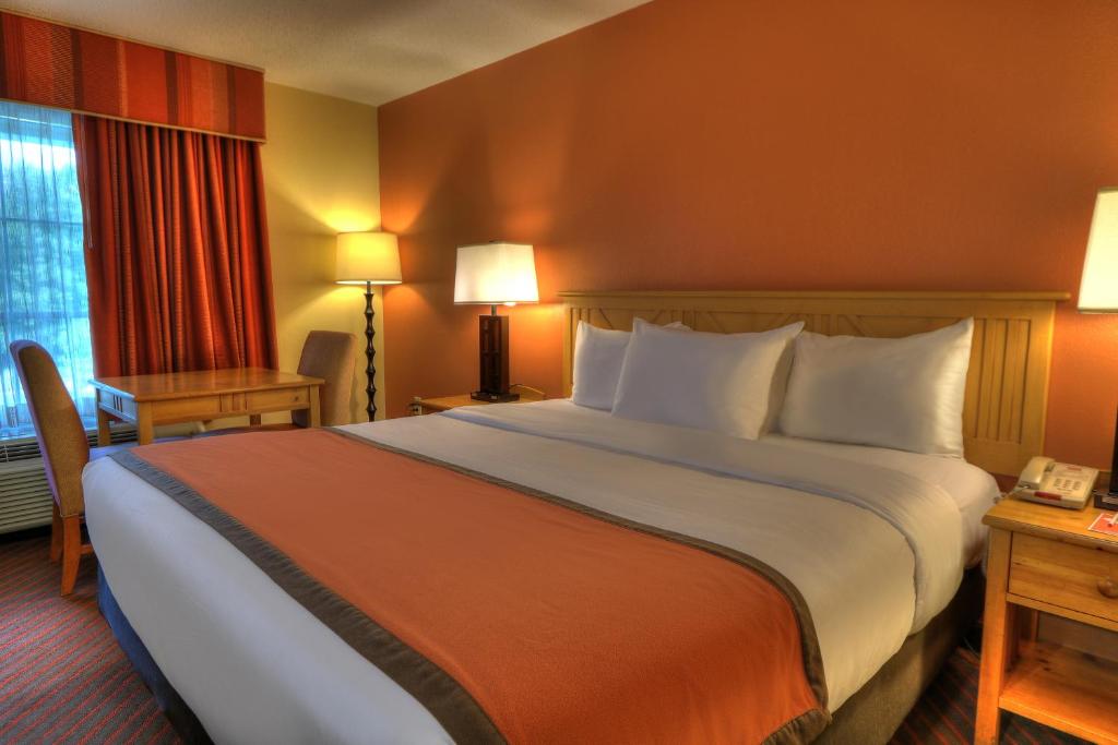 Econo Lodge Pigeon Forge Riverside - King Room With River View - Accessible/Non-Smoking